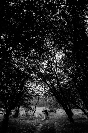 Andrei Dumitrescu #2078910