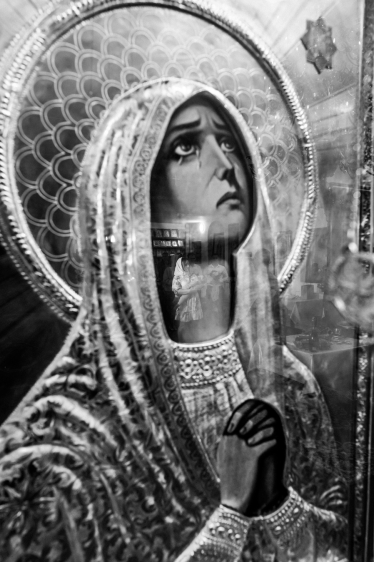 Constantin Plugari #2080624