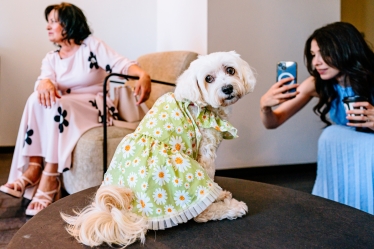 Laurentiu Nica #2082615