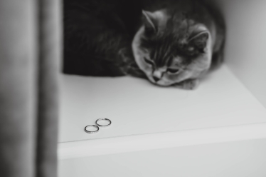 Alexis Foto-Films #2083602