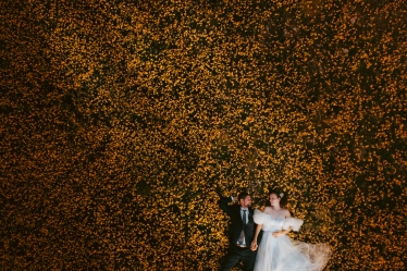 Wanderer Studio #2083937