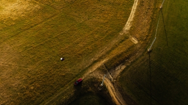 Nemeth Daniel #2084920