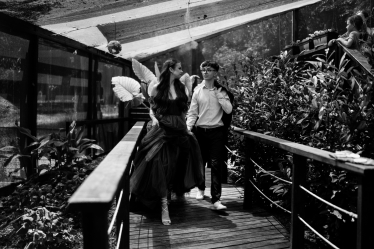 Hăisan Petronela #2089789