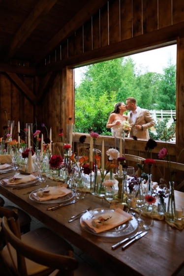 Vali Novacovschi #2094579