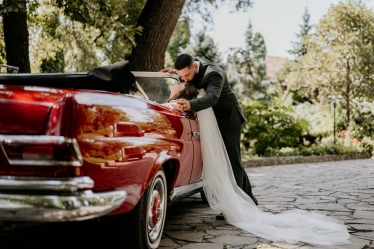 Joldes Stefania photography #2095797