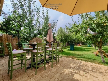 Fotografie realizată de FotoEvent88 - Costi MANOLACHE - #2096069