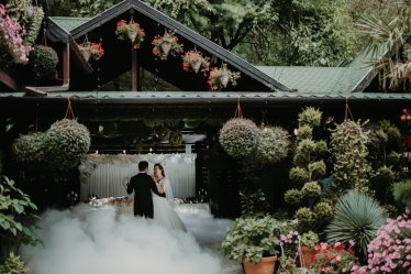 Frunza Photo&Video #2097903