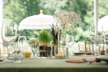 Fotografie realizată de CAPTURRA - #2099332