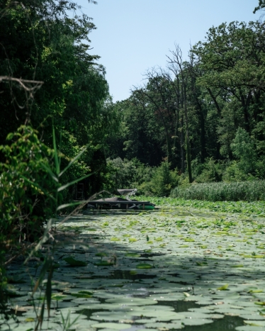 Fotografie realizată de CAPTURRA - #2099334