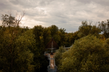 Roland Koromi #2100227