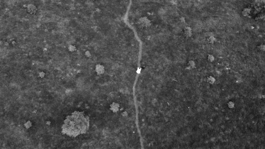 Motion Pictures #2101238