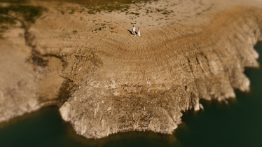 Sfinx Production #2101970