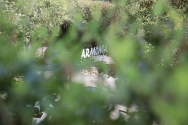 Fotografie realizată de Kelemen Zoltan (Wedding Joy) - #2102112