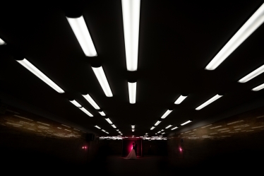 Alex Pascariu #2102386