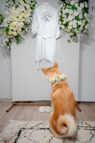 Oana Curelaru Photography #2102514