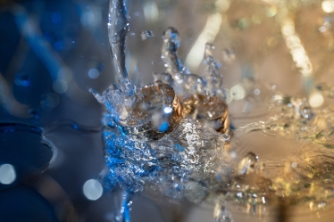 Alex Pascariu #2103874