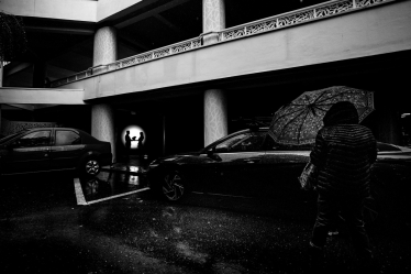 Marin Victor #2103902