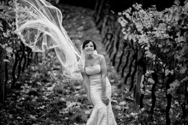 Marius Barbulescu #2104164