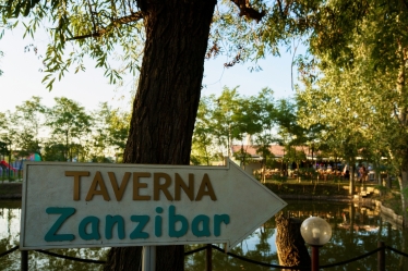 Fotografie realizată de Marius Marcoci - #2105417