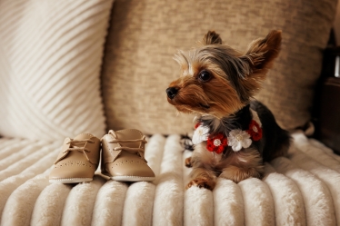 Andrei Mastan #2105556