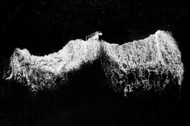 Constantin Plugari #2105888