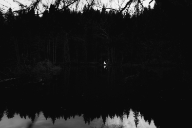 Alex Pascariu #2106369