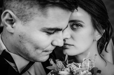 Sfinx Production #2106829