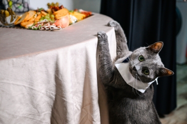 Mugurel Olteanu #2107800