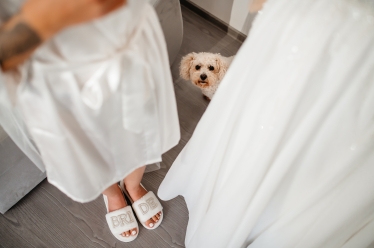 Image Makers #2108818