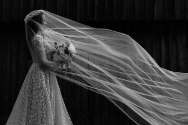 Philip Alex #2108849