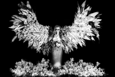 Bogdan Volinschi #2109901