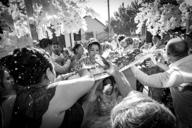 Sorin Netoi Photography #2110334