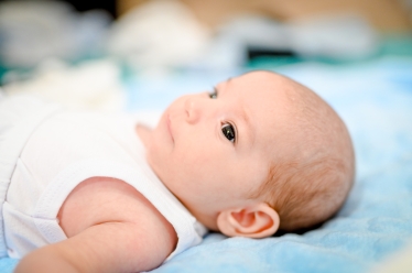 Emilian Mitrea Fotograf #2110525