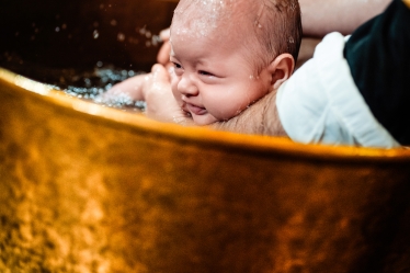 Acidut Photographer #2110738