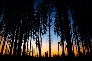 2A Image Studio #2111045