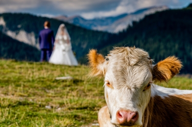 Agentia de Amintiri #2111393