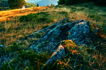 Claudiu Boghina (Refresh Art) #2111404