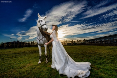 Vladimir Constantinescu #2111700