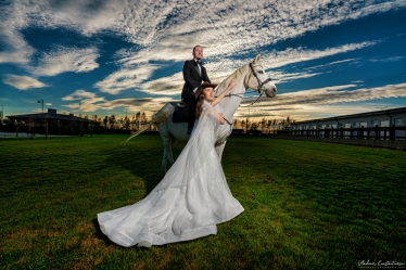 Vladimir Constantinescu #2111702