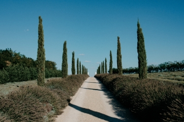 Fotografie realizată de Casian Cosma - #2112069