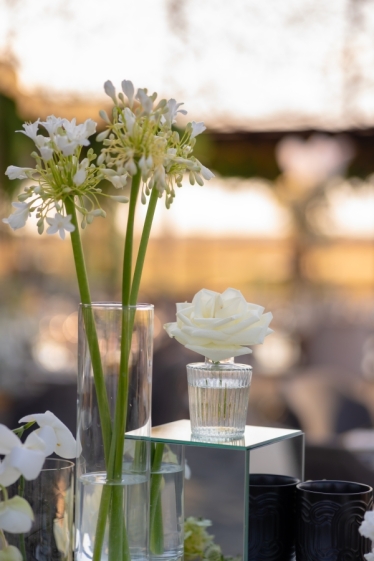 Fotografie realizată de Fotolense - #2112158