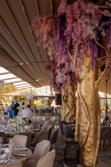 Fotografie realizată de Fotolense - #2112162