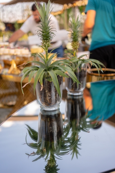 Fotografie realizată de Fotolense - #2112166