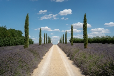 Fotografie realizată de Fotolense - #2112174