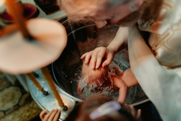 Proca Ovidiu OP Studio #2116407