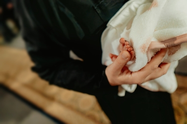 Proca Ovidiu OP Studio #2116408