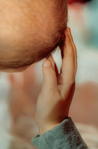 Proca Ovidiu OP Studio #2116409