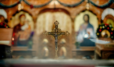 Proca Ovidiu OP Studio #2116410