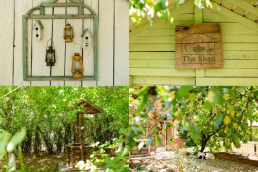 Fotografie realizată de Live Love Laugh - Dana Sacalov - #2117981