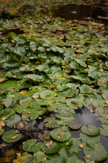 Fotografie realizată de TILO - #2118598